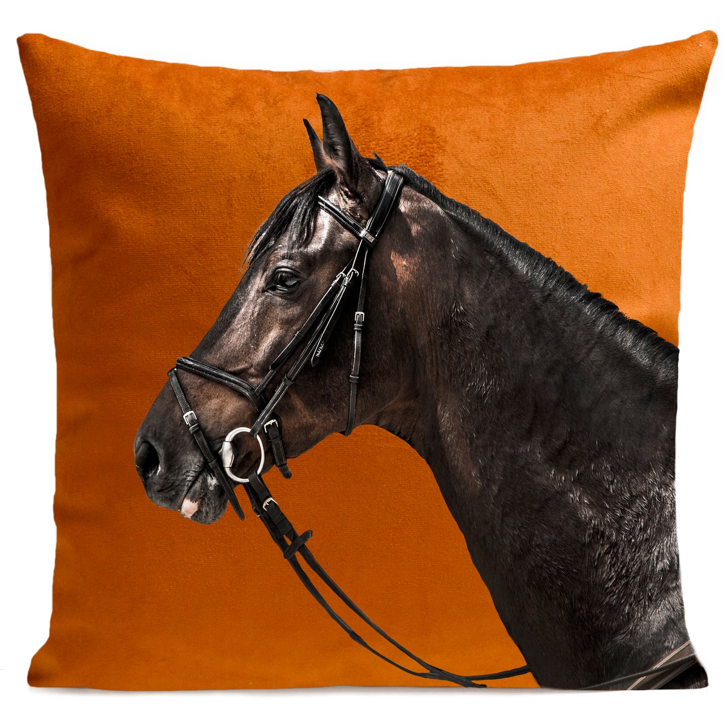 Coussin Racer