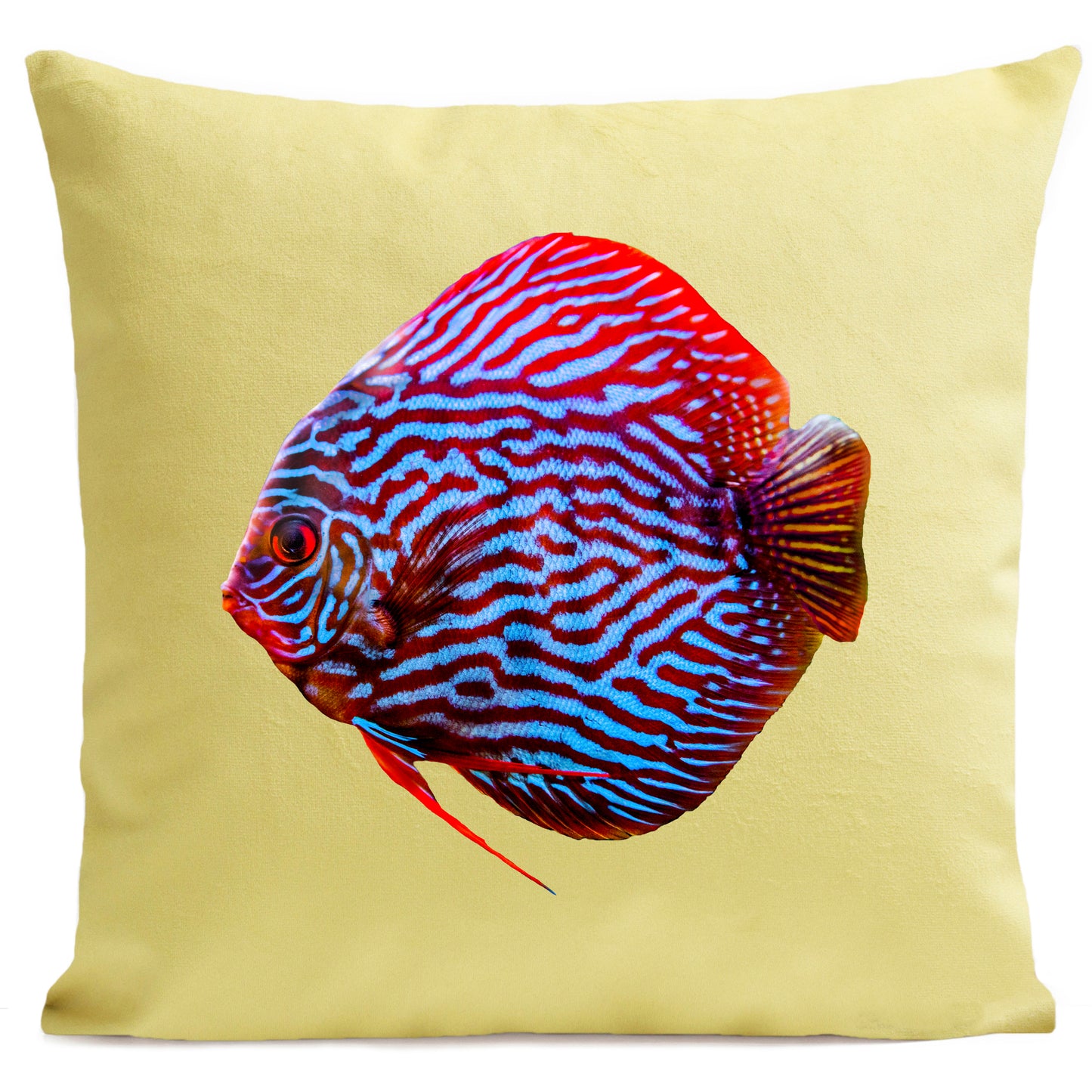 Coussin Mister Red