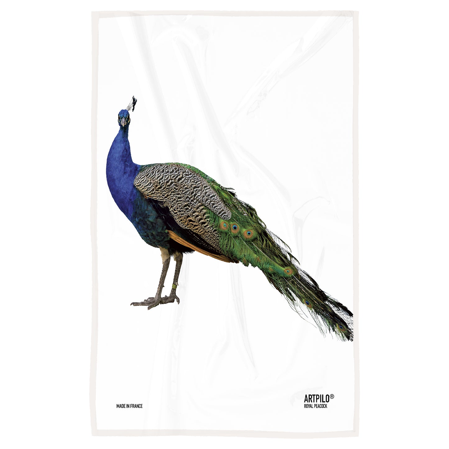 Torchon Royal Peacock