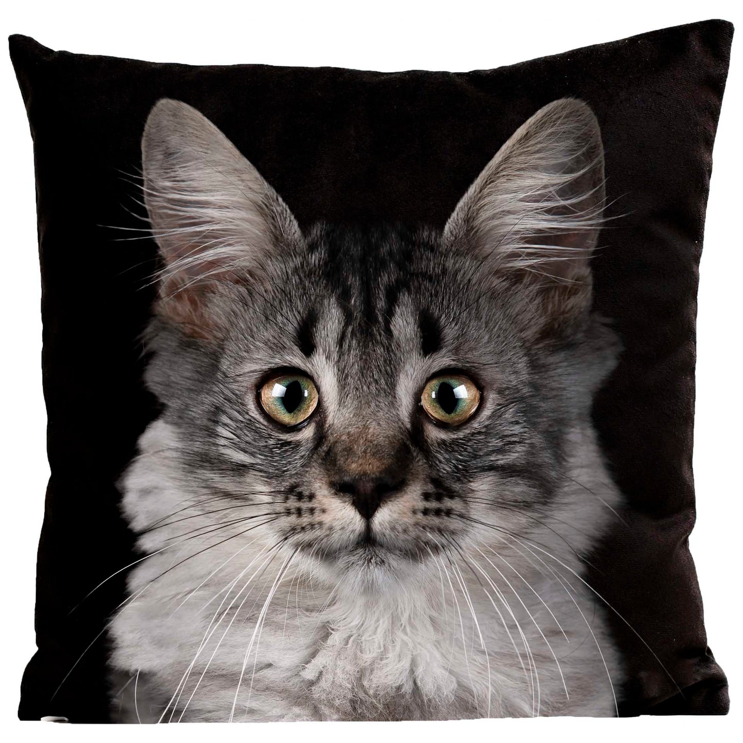 Coussin Mozart