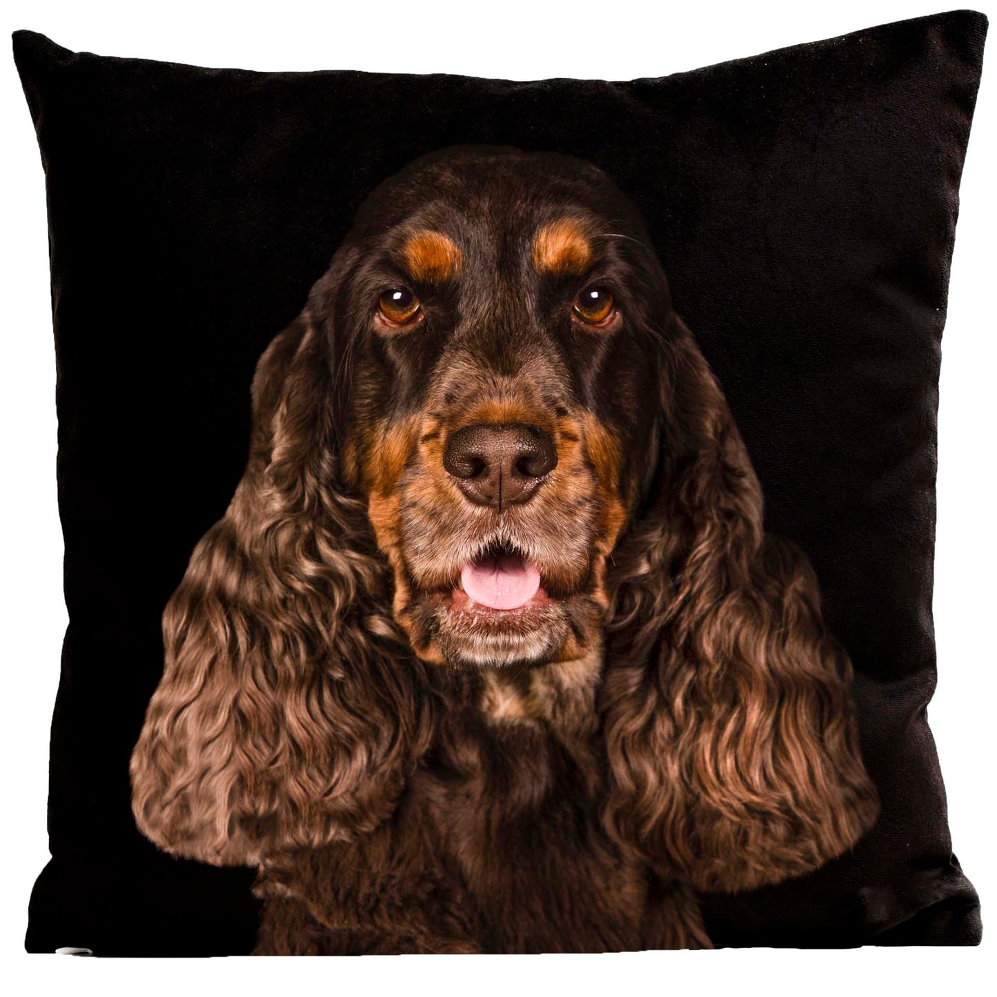 Coussin Romy
