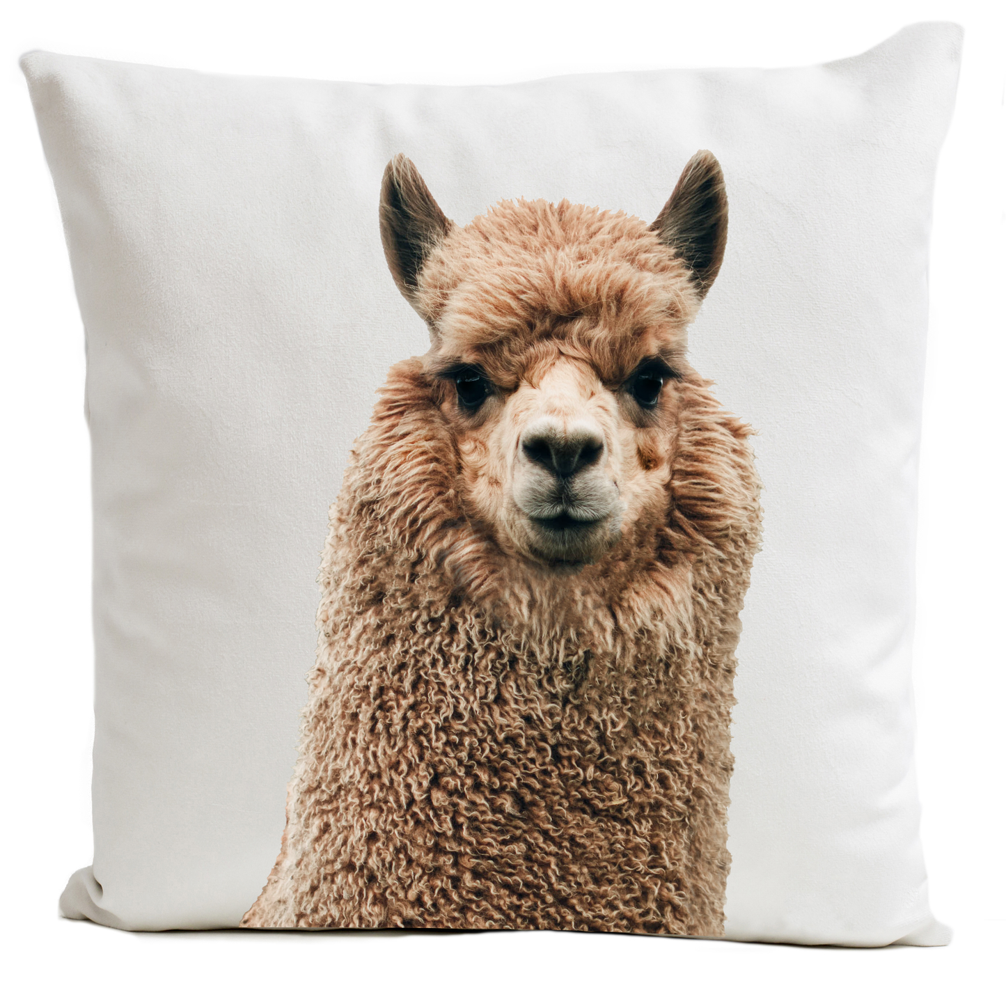 Coussin Alpaga