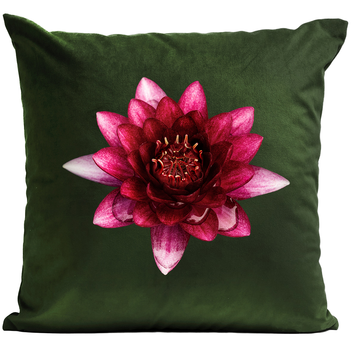 Coussin Lotus