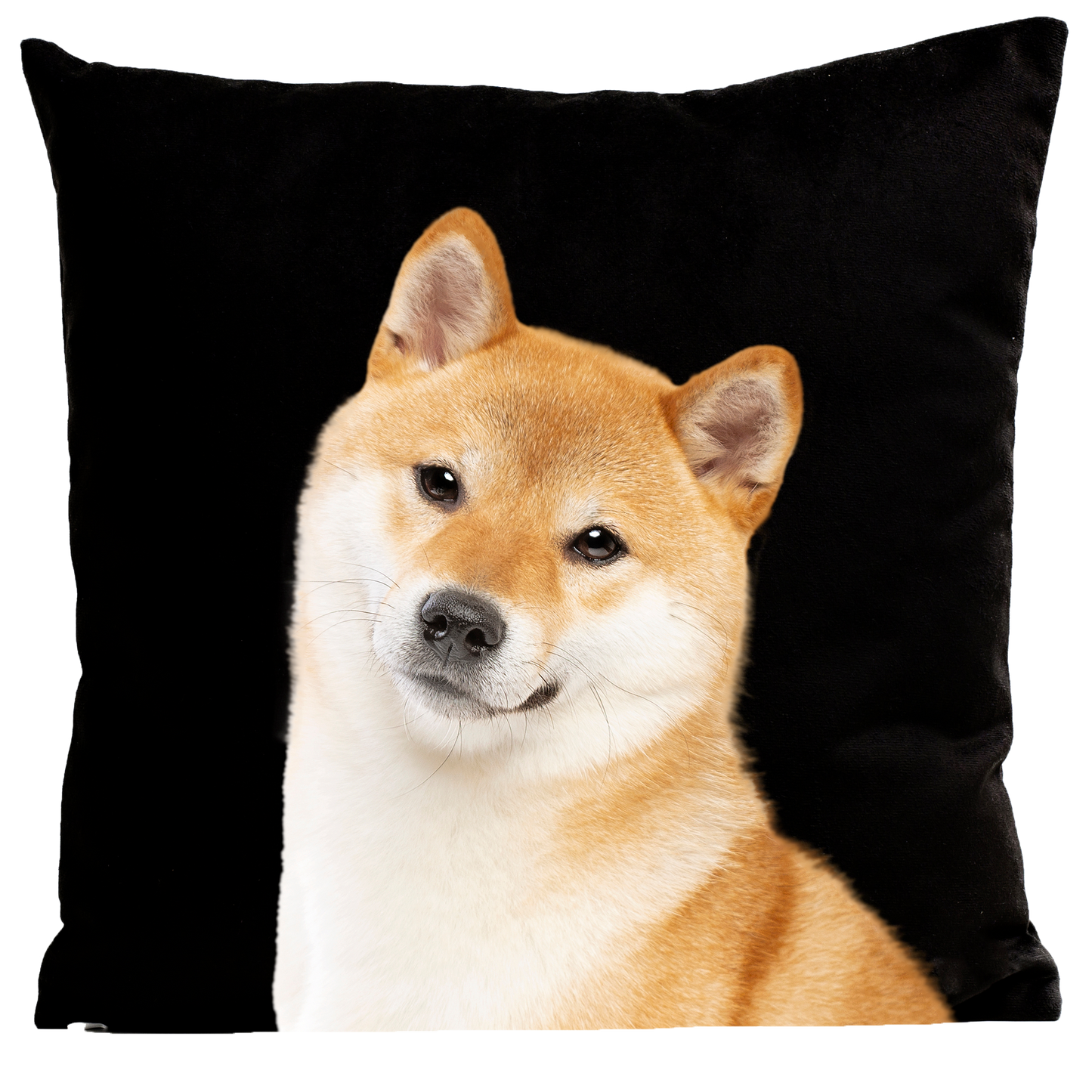 Coussin Shiba