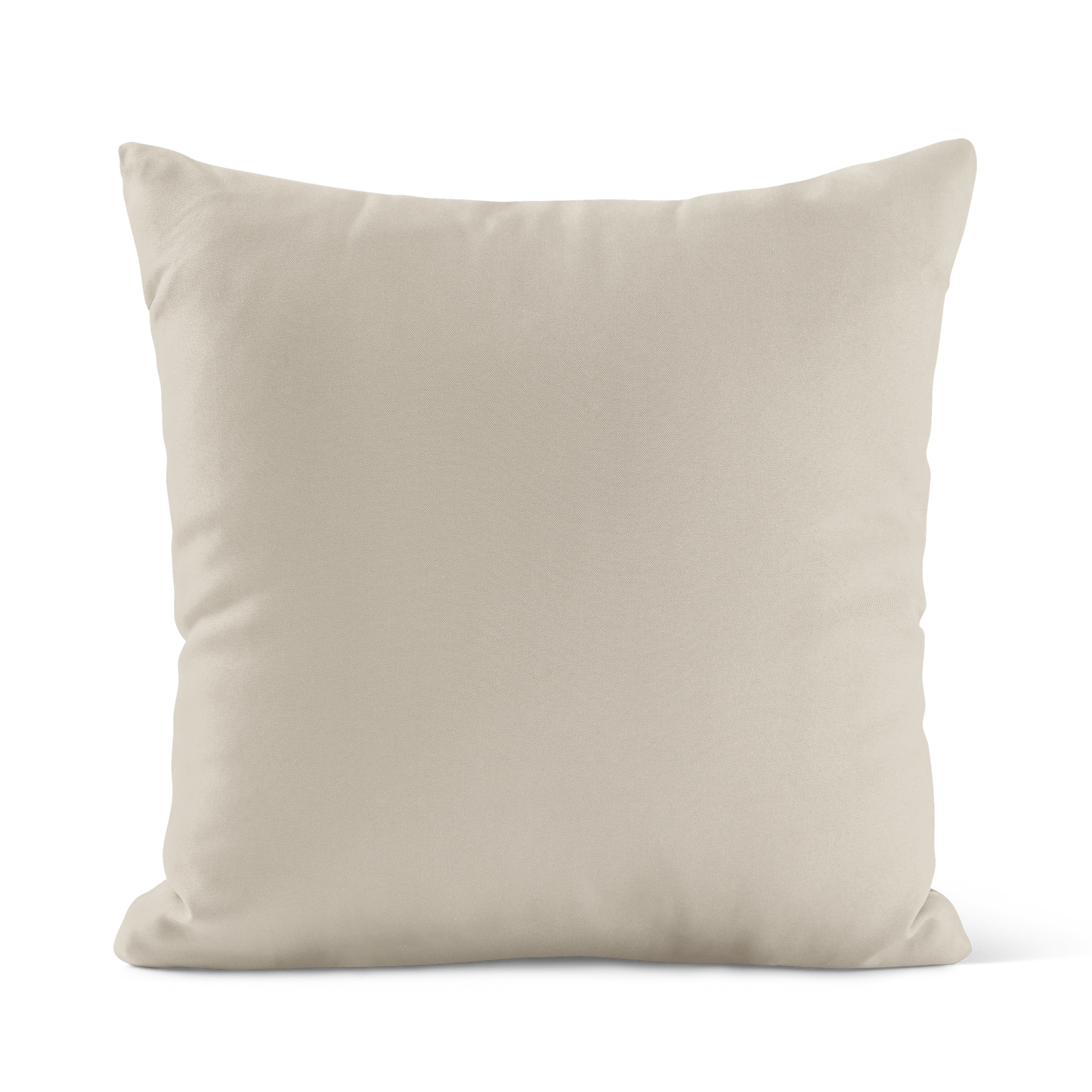 Coussin peau de Serpent (fausse)