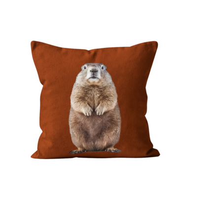 Coussin Marmotte