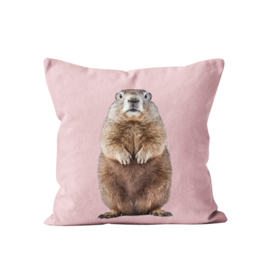 Coussin Marmotte