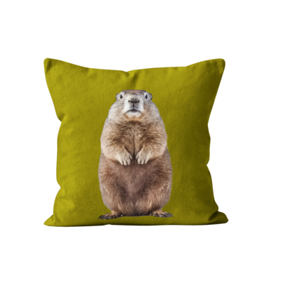 Coussin Marmotte