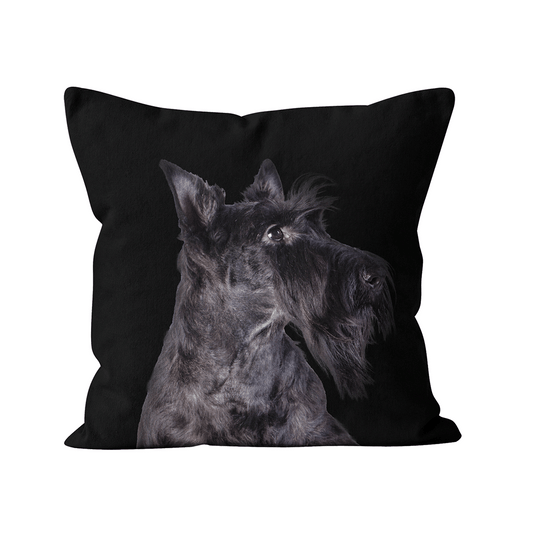 Coussin Freddy