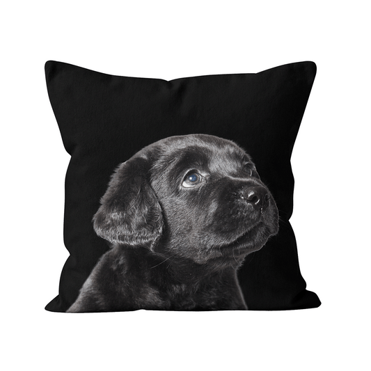 Coussin Buddy