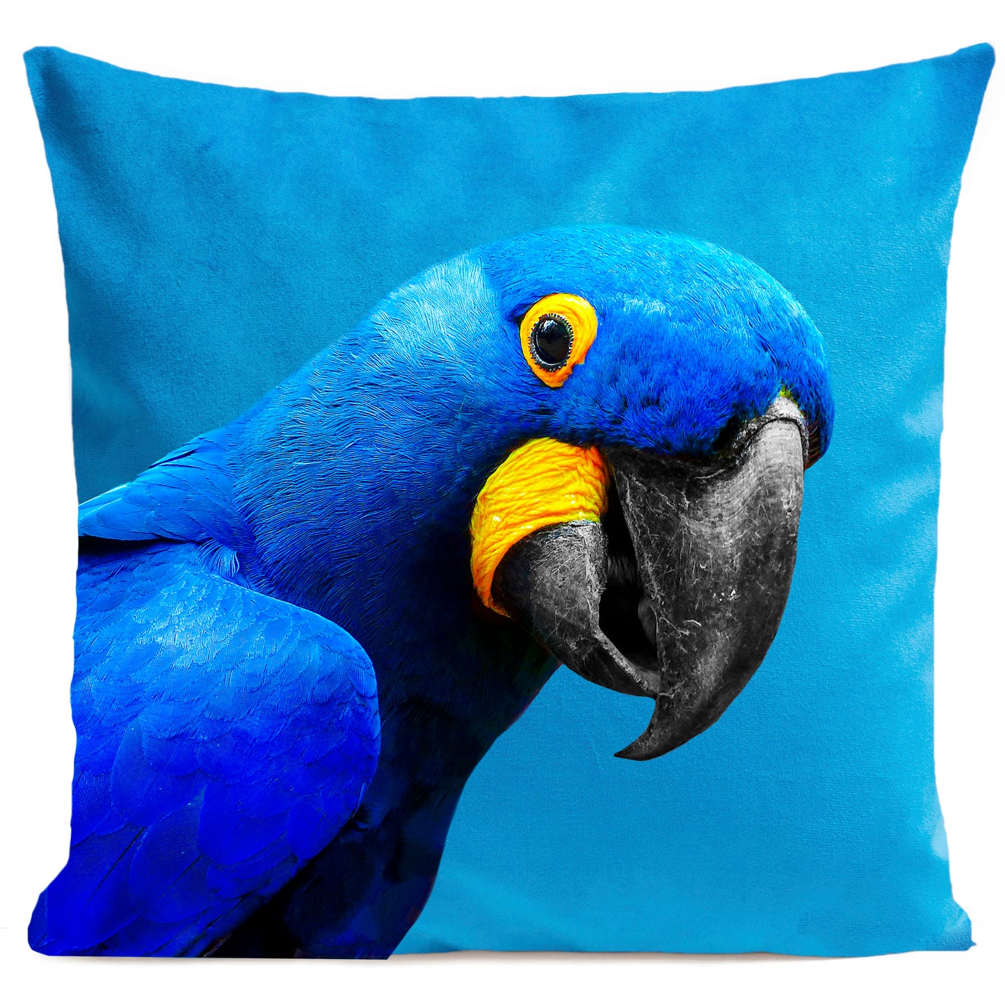 Coussin Yaya The Parrot