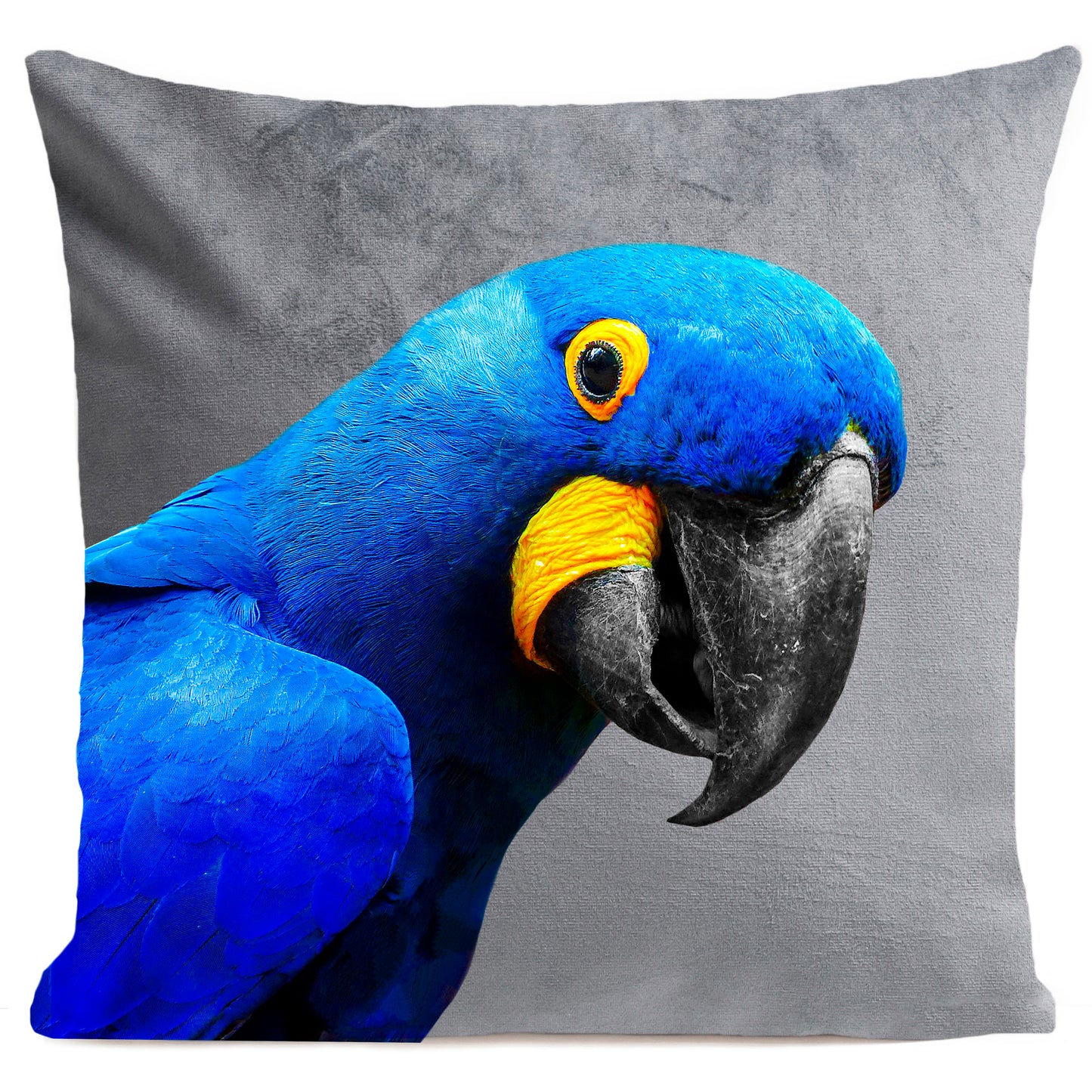 Coussin Yaya The Parrot
