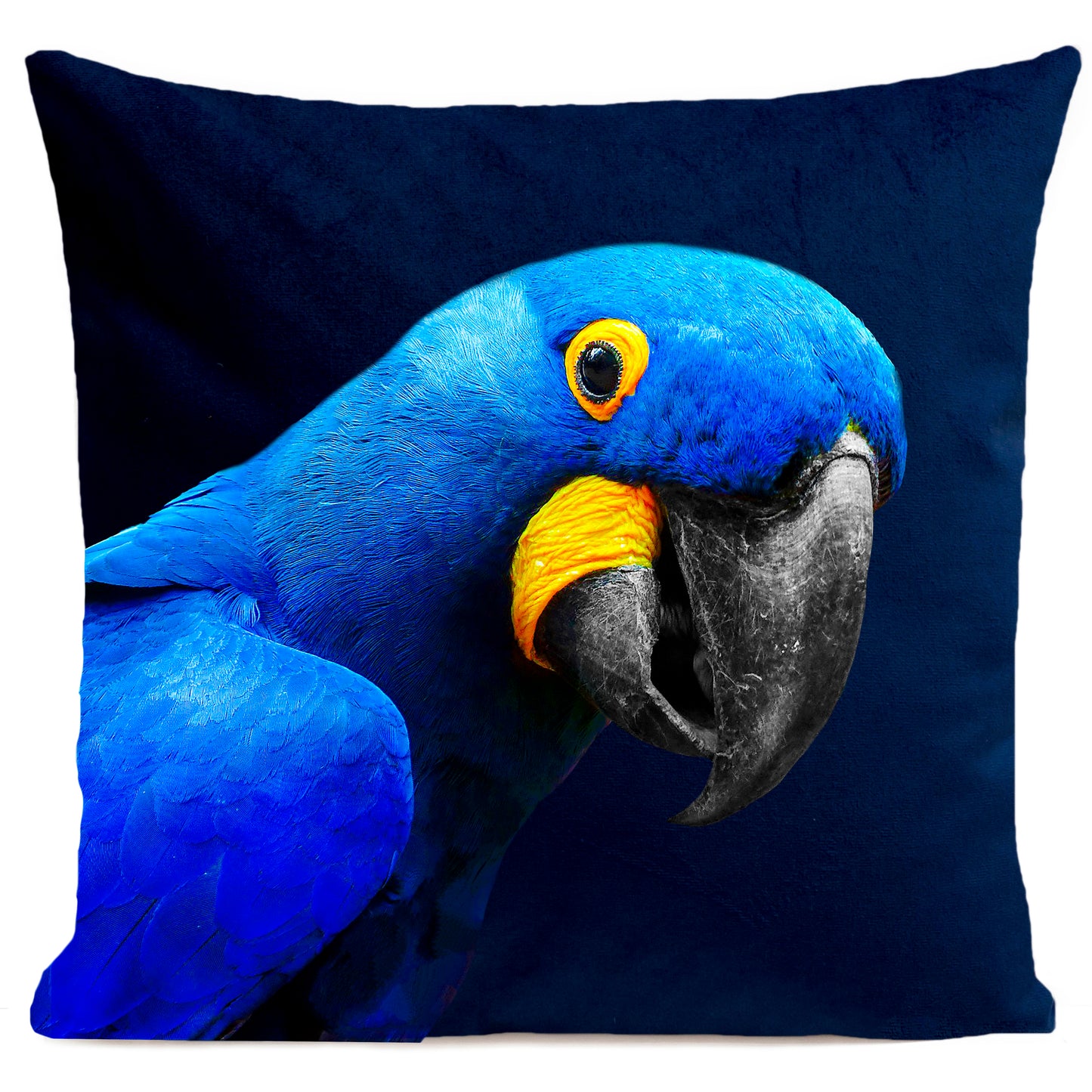 Coussin Yaya The Parrot