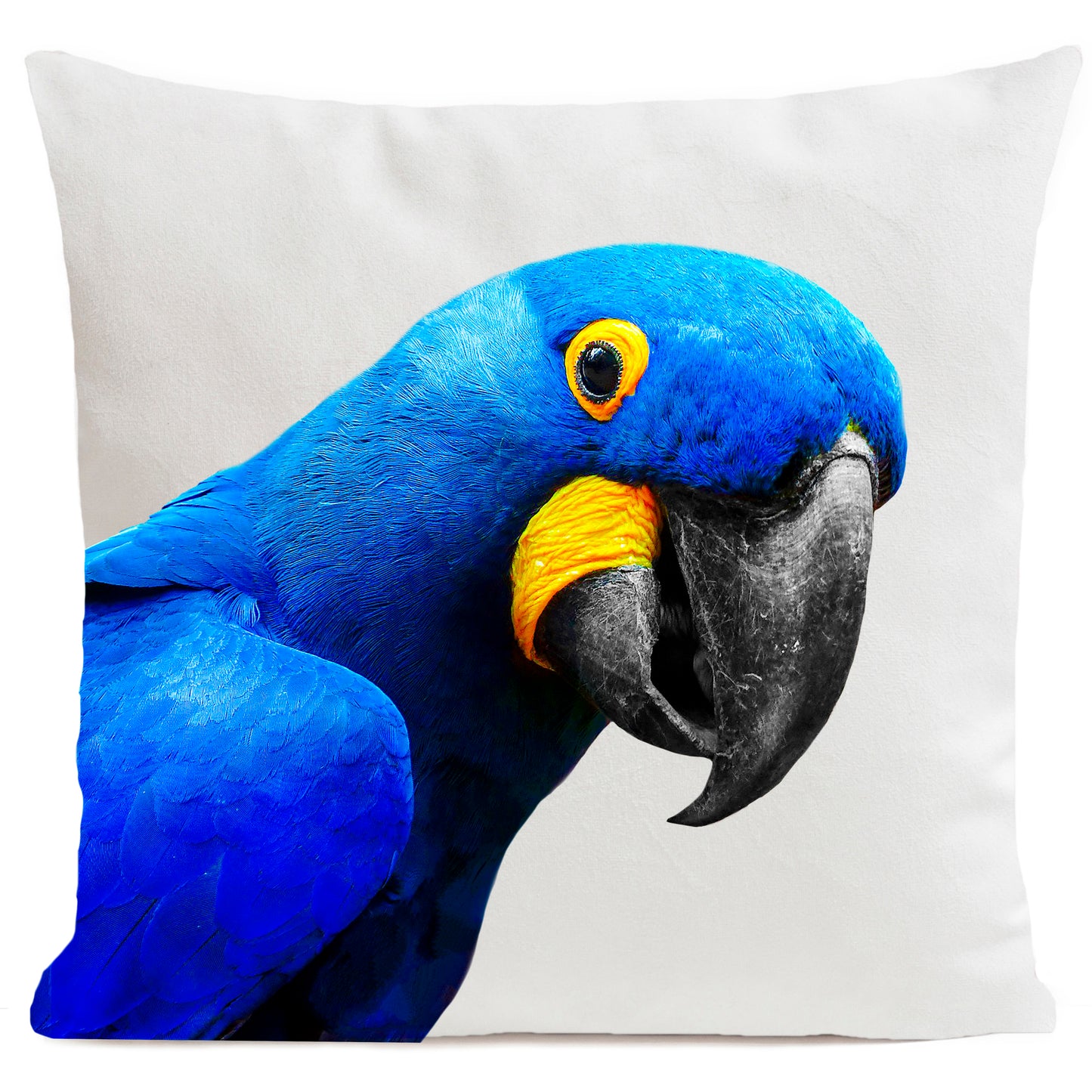 Coussin Yaya The Parrot