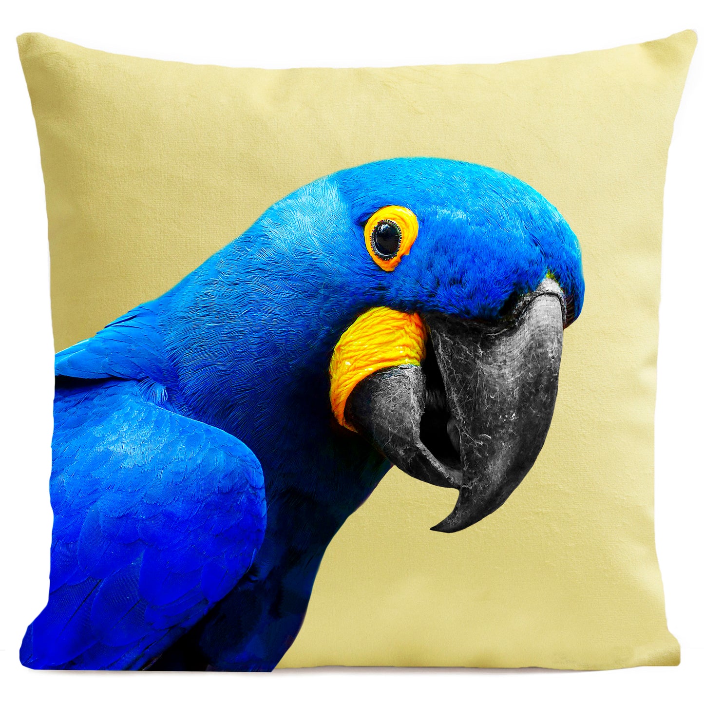 Coussin Yaya The Parrot