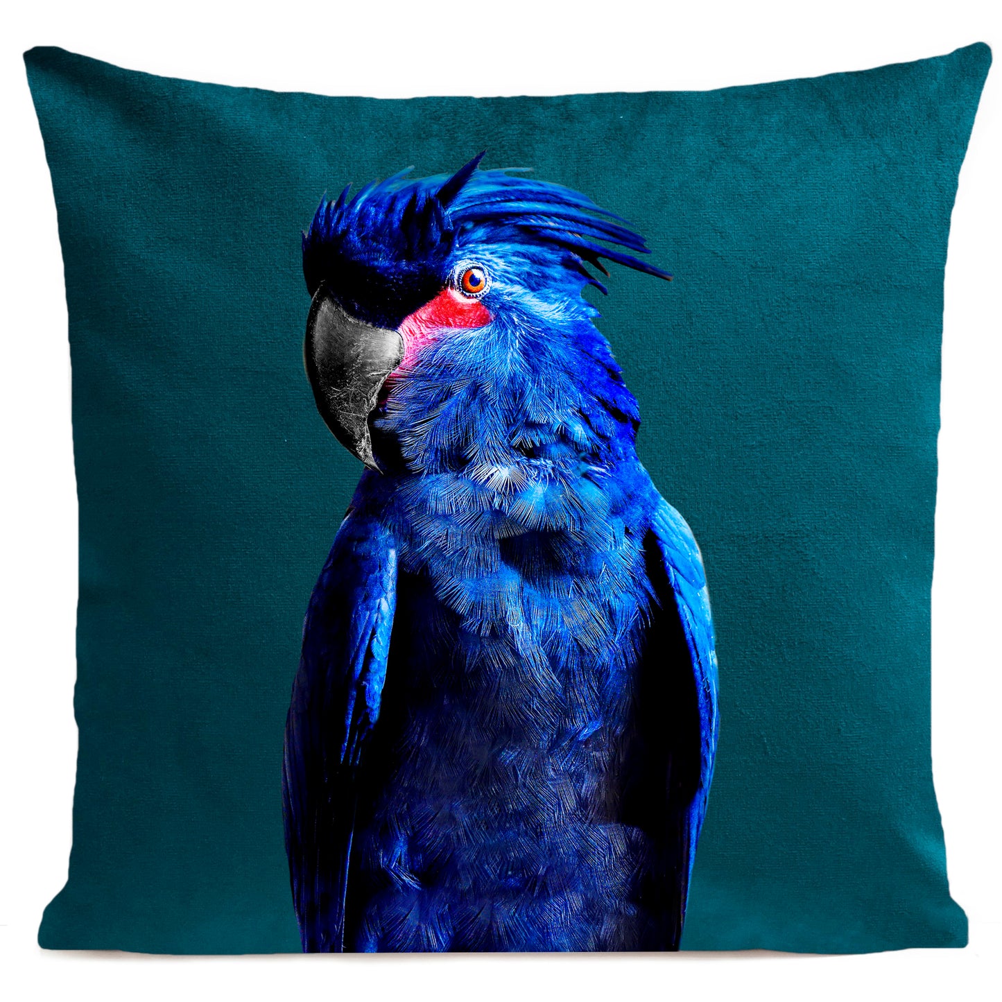 Coussin Punky Parrot