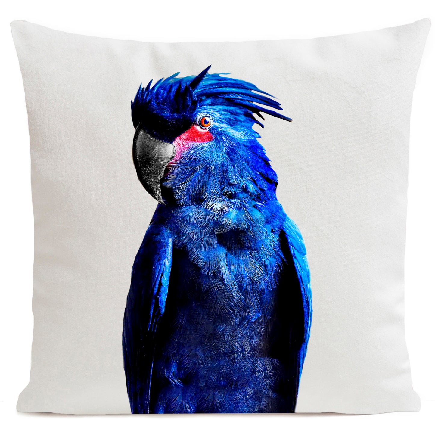 Coussin Punky Parrot