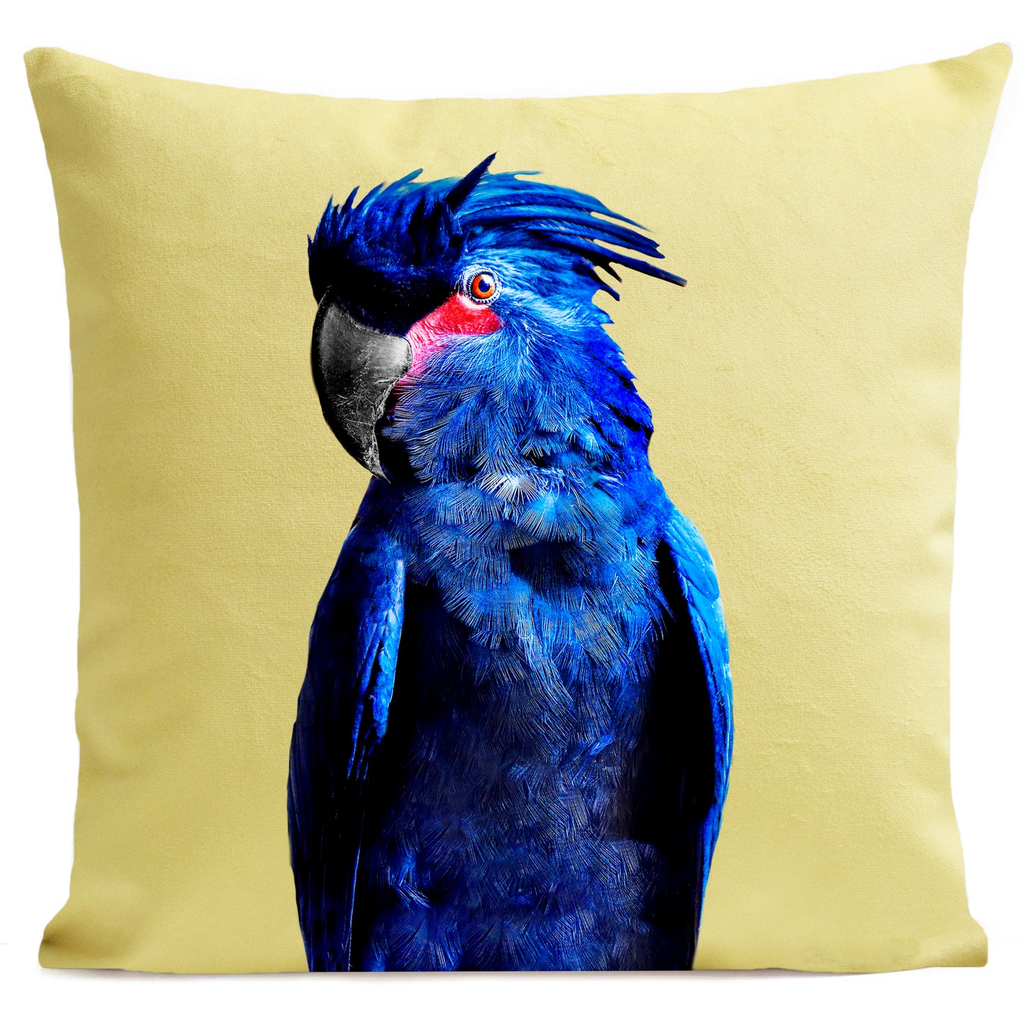 Coussin Punky Parrot