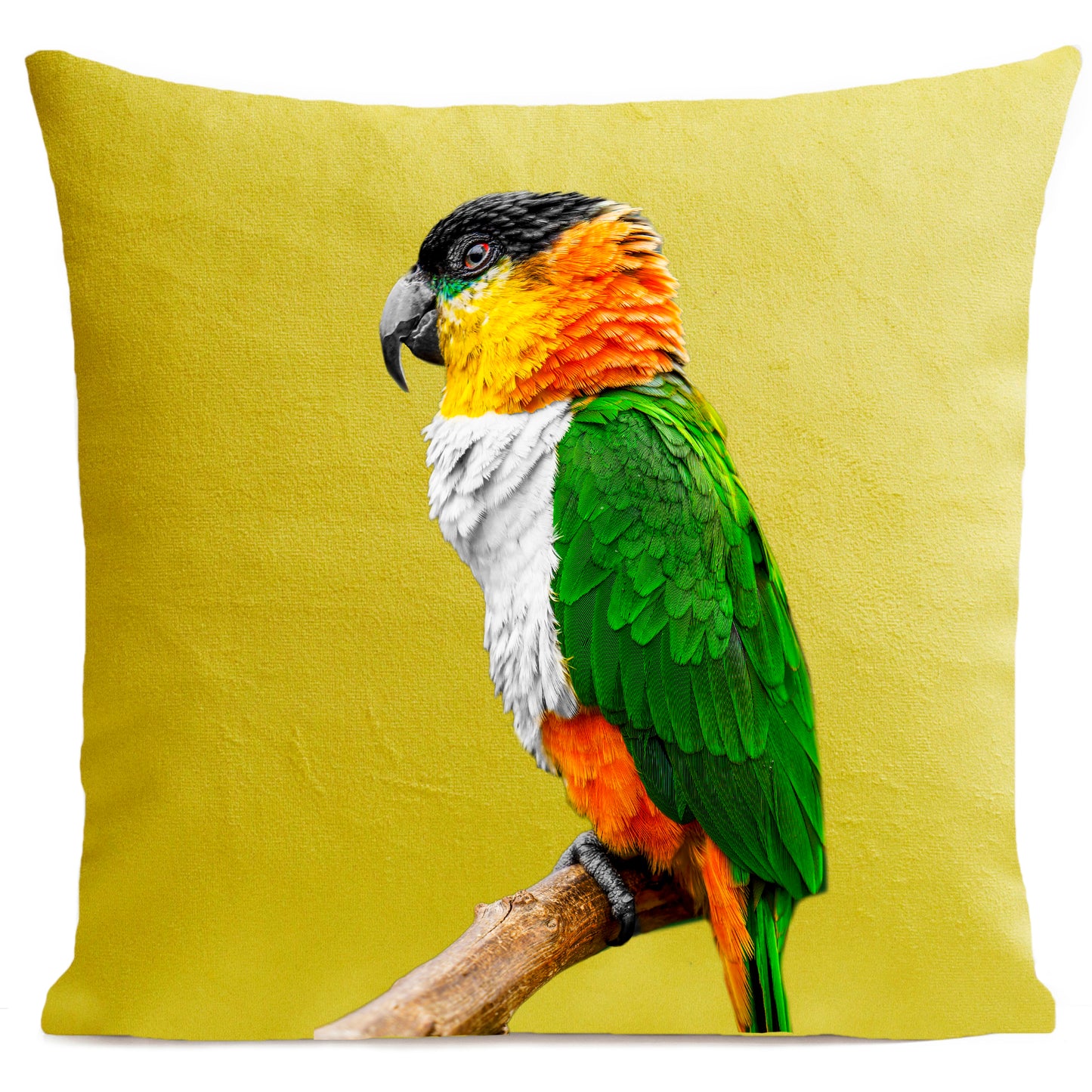 Coussin Coco