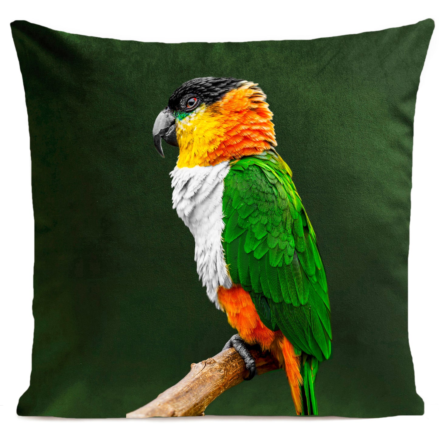 Coussin Coco
