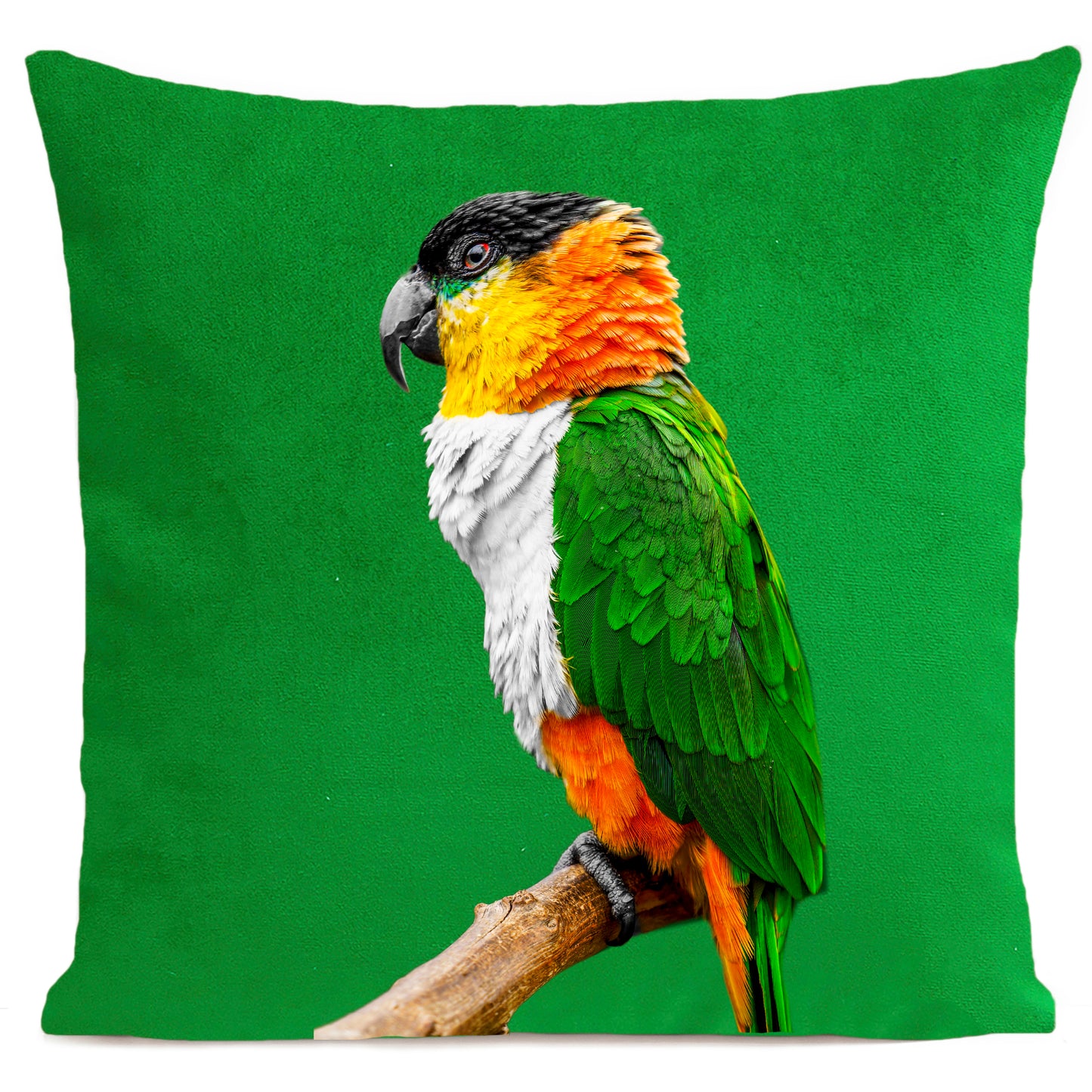 Coussin Coco
