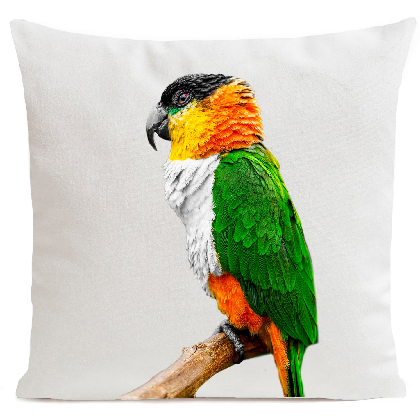 Coussin Coco