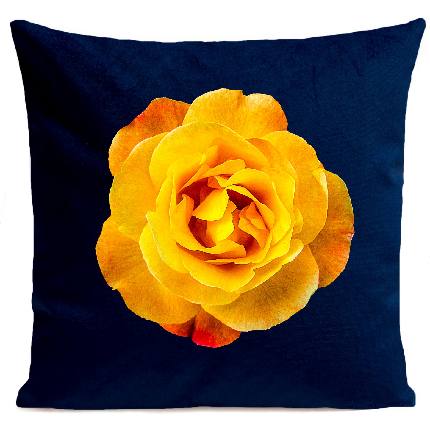 Coussin Rock Rose