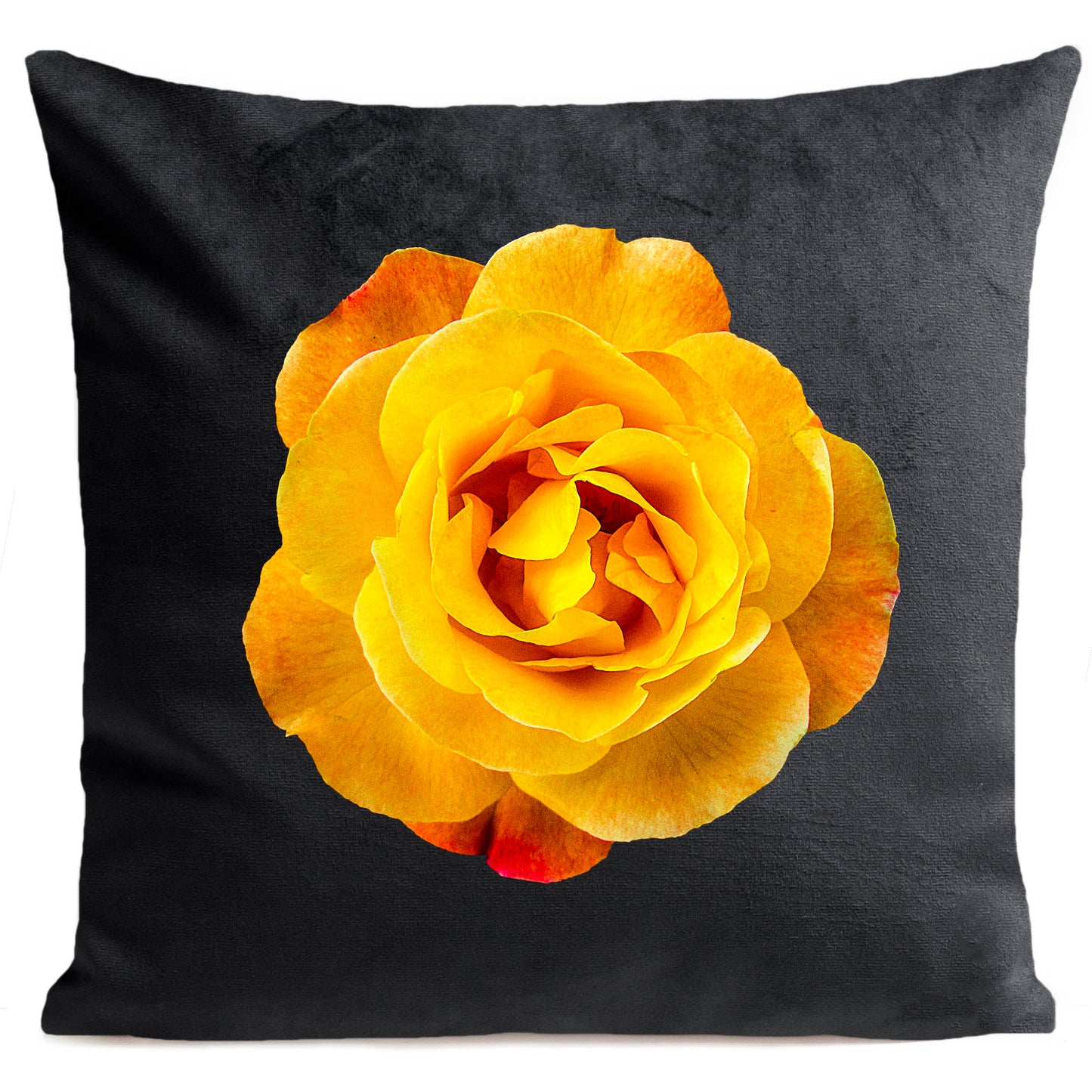 Coussin Rock Rose