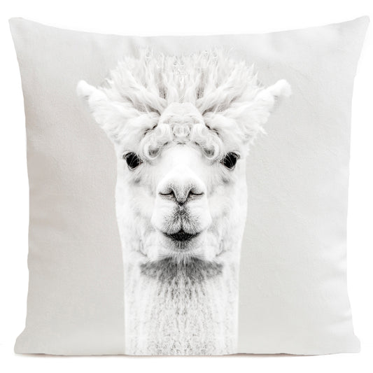 Coussin Serge