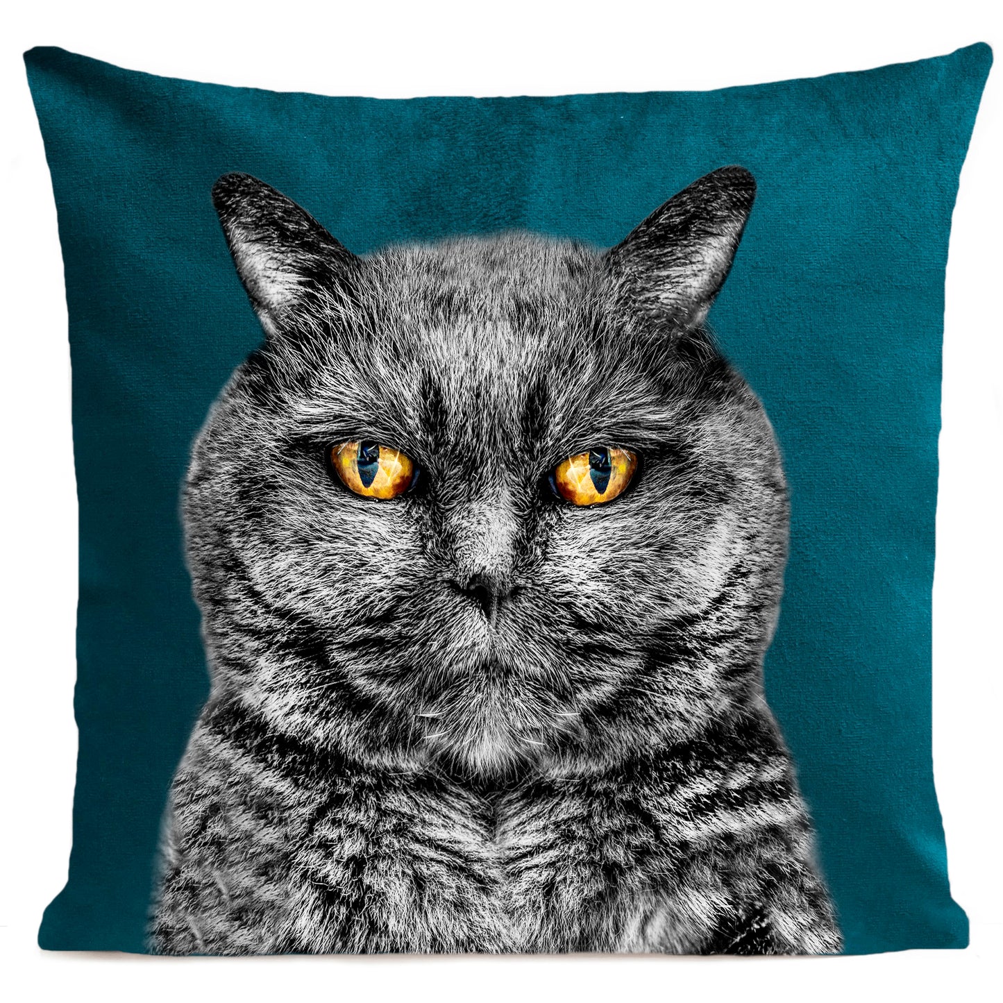 Coussin Edgar