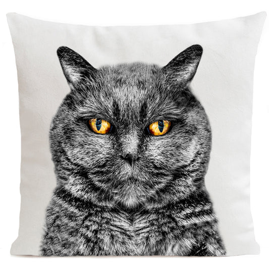 Coussin Edgar