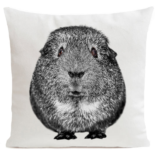 Coussin Quenotte