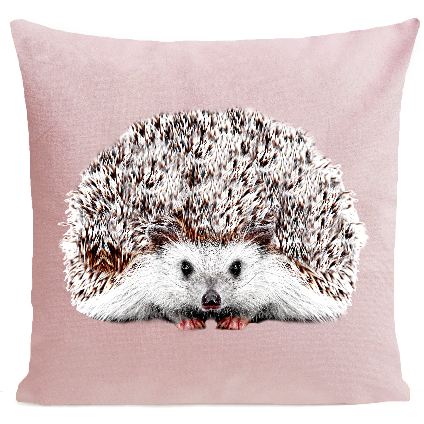Coussin Picou