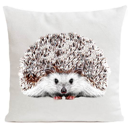 Coussin Picou