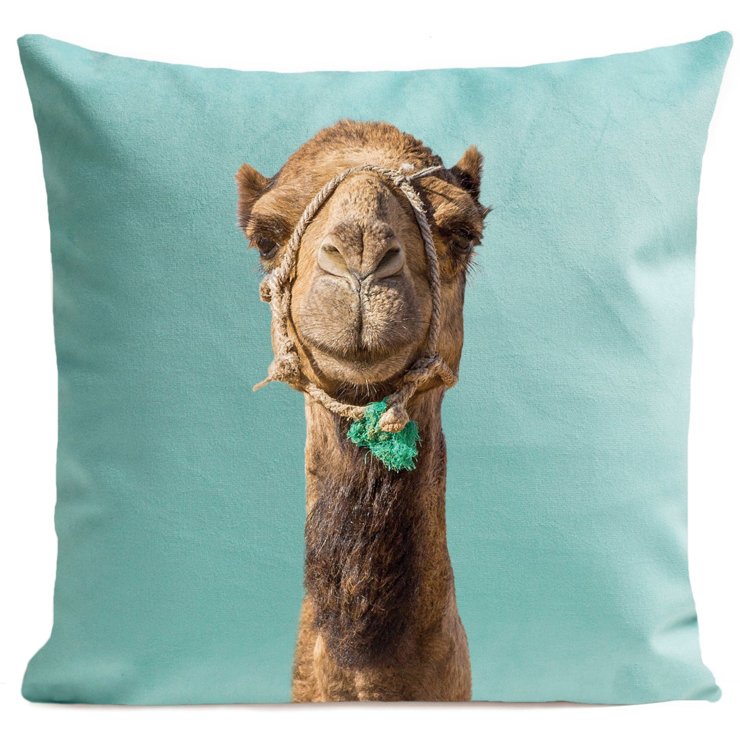 Coussin Smiling Camel