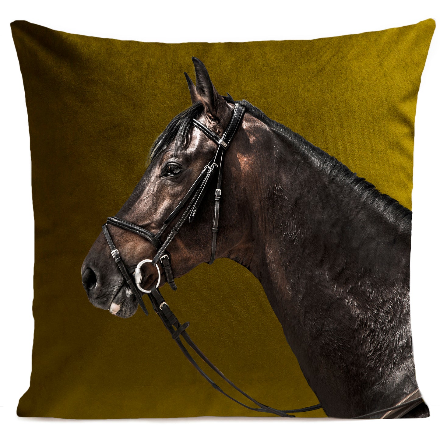 Coussin Racer