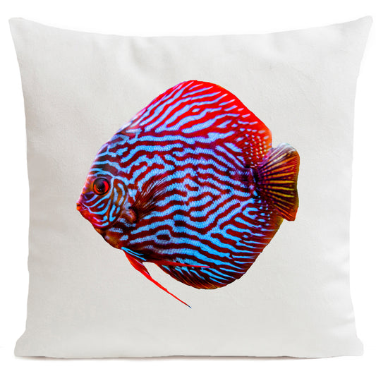 Coussin Mister Red