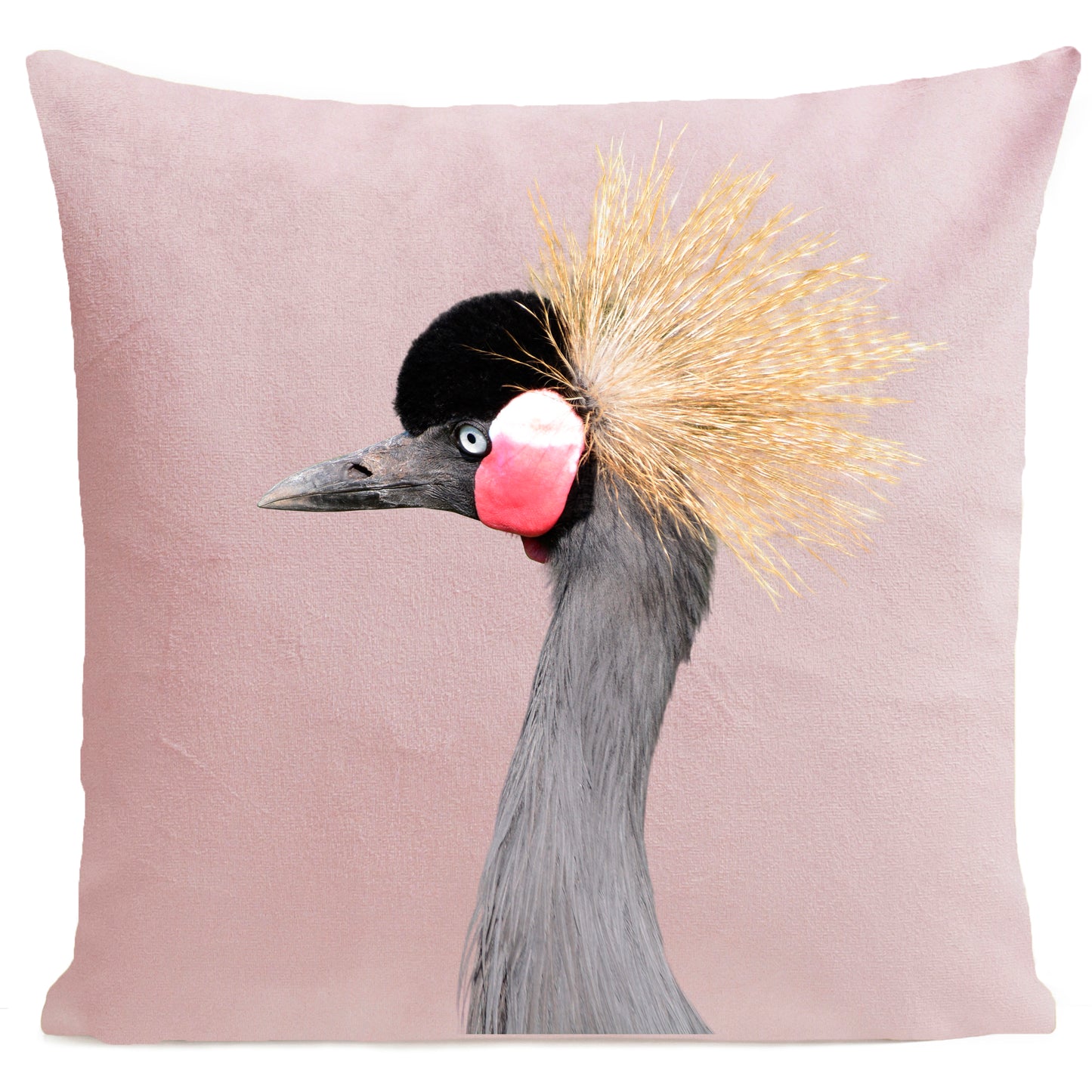 Coussin Grue couronnée