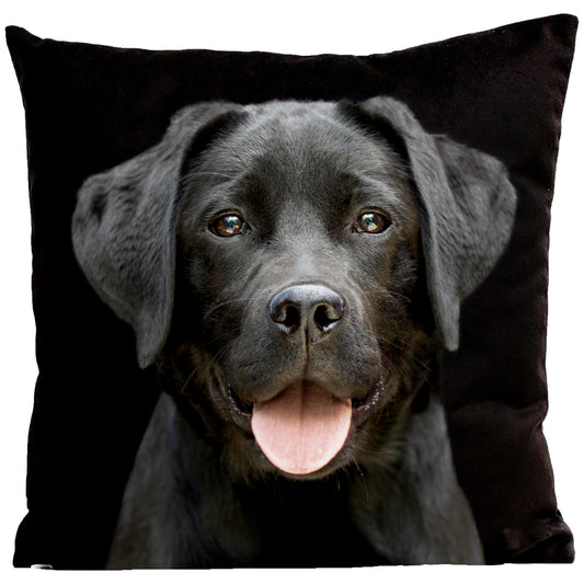 Coussin Pilou