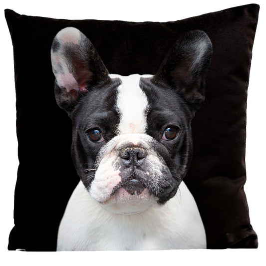 Coussin Raymond