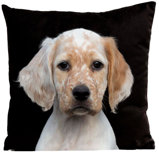 Coussin Ron