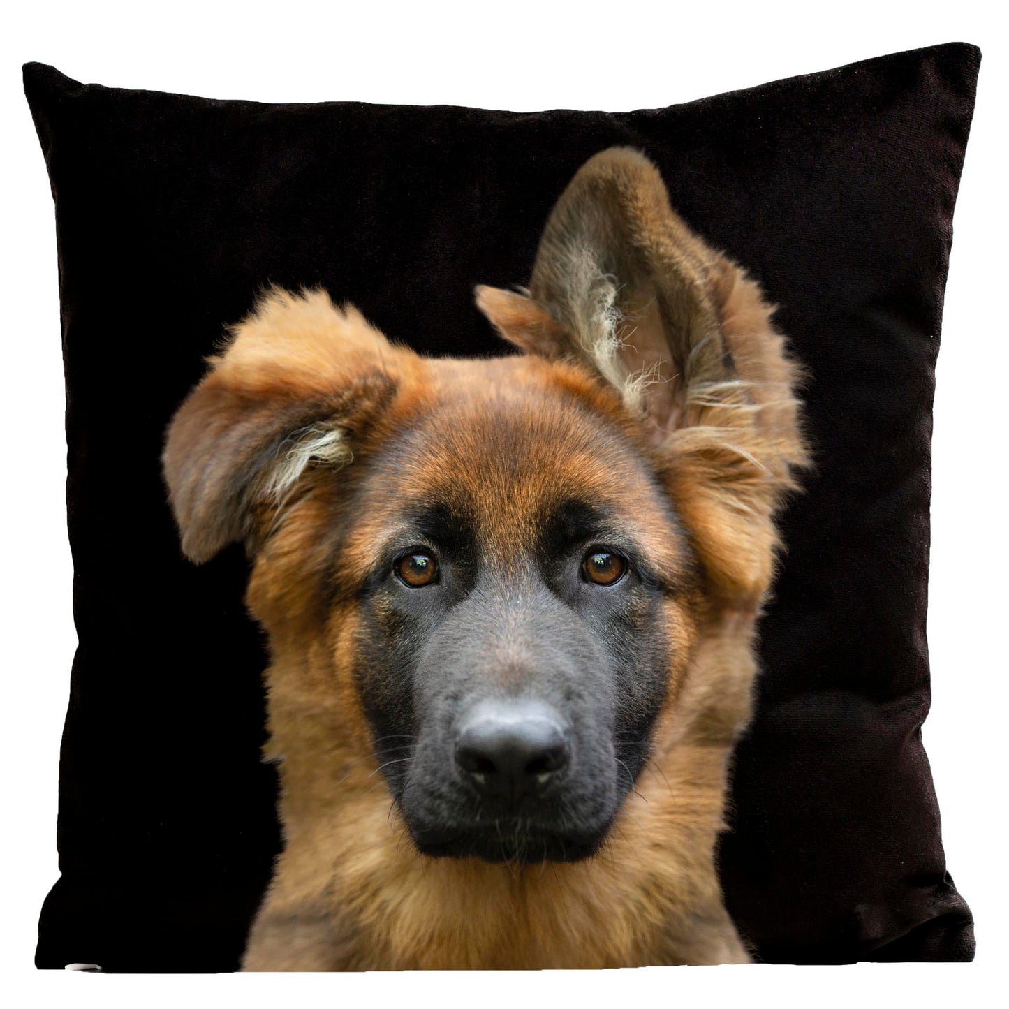 Coussin Stark