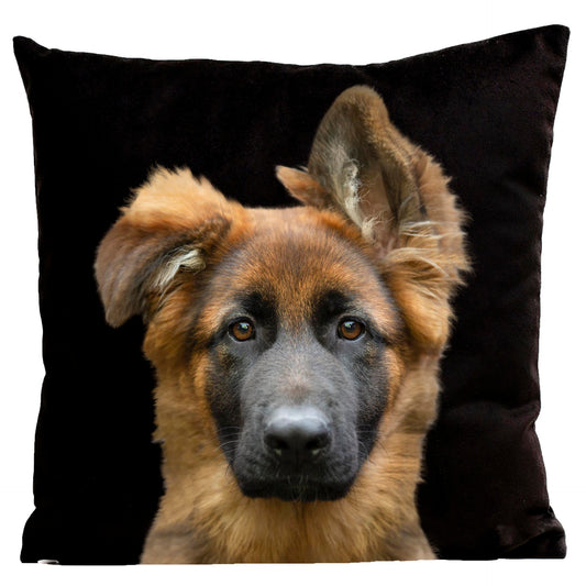 Coussin Stark