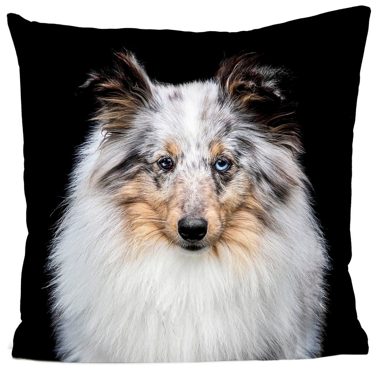 Coussin Félicien