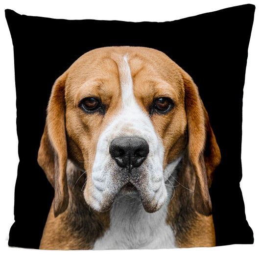 Coussin Bertille