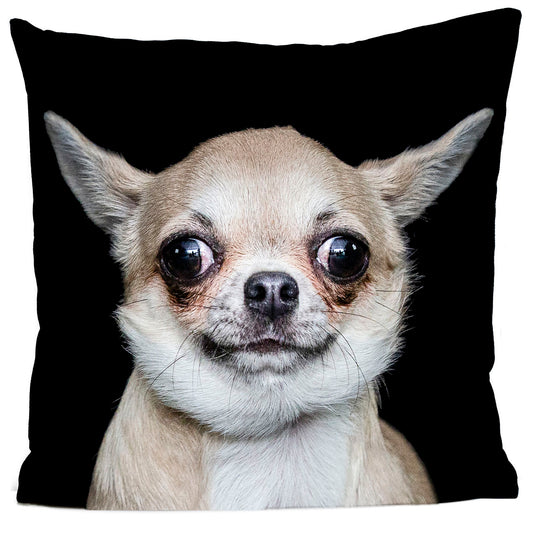 Coussin Joshua
