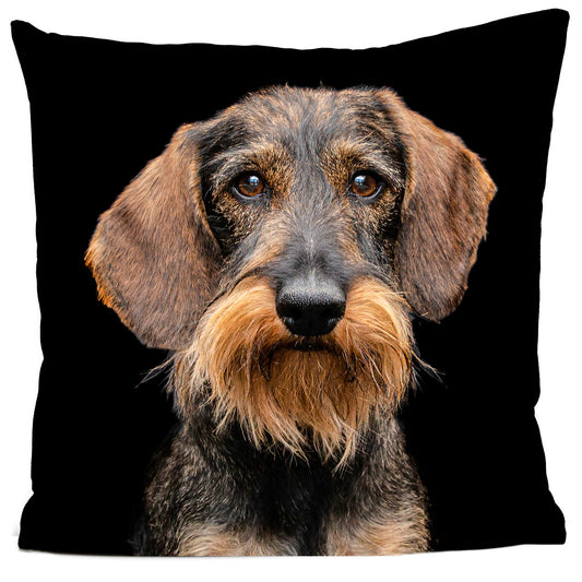 Coussin Samuel le teckel
